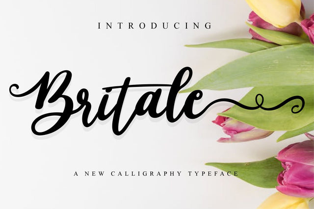 Britale Script Font Anastasia 