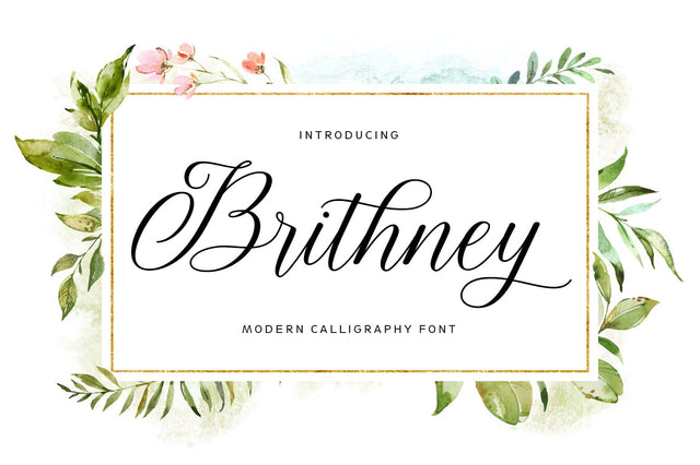 Brithney Script Font Fargun Studio 
