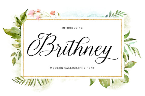 Brithney Script Font Fargun Studio 