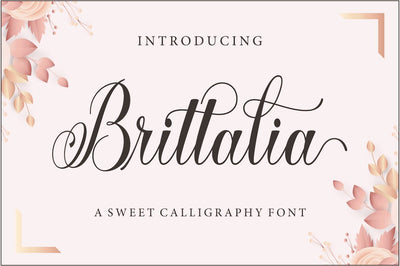 Brittalia Script Font RomieStudio 