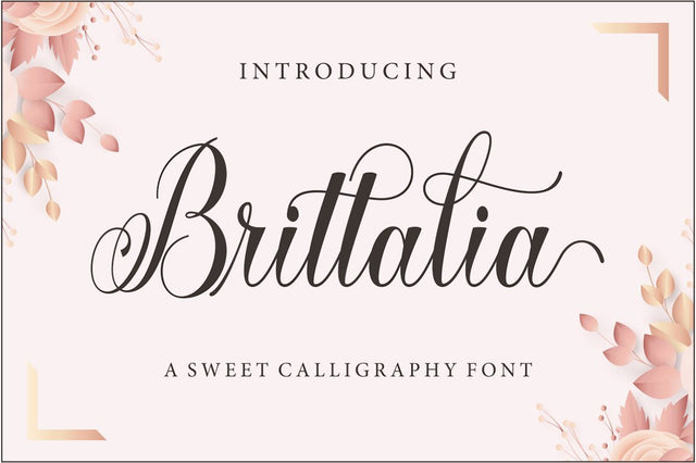 Brittalia Script Font RomieStudio 