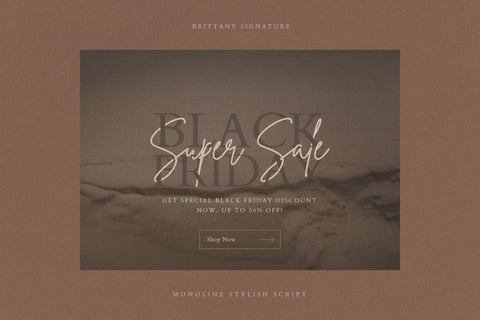 Brittany Signature Script Font Creatype Studio 