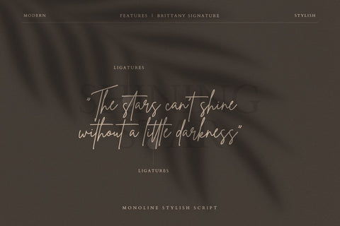 Brittany Signature Script Font Creatype Studio 