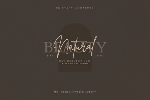 Brittany Signature Script Font Creatype Studio 