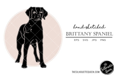 Brittany Spaniel Sketch SVG Loveleen Kaur 