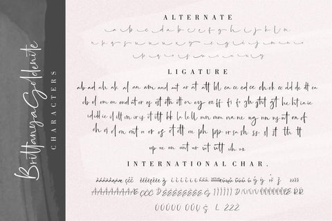 Brittanya Goldenite Stylish Handwritten Font Creatype Studio 
