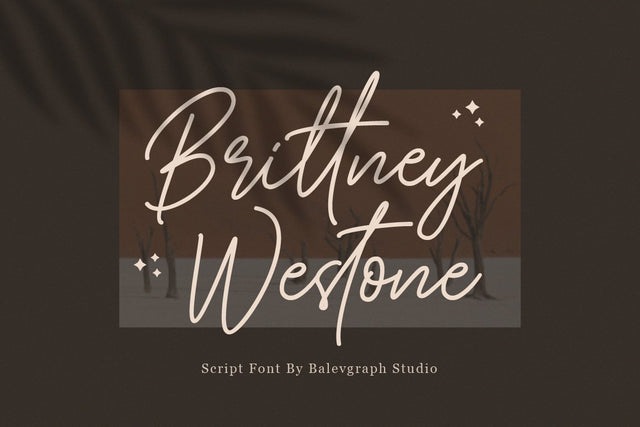 Brittney Westone Script Font Font Balevgraph Studio 