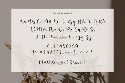 Broken White - Handwriting Script font Font Timur type 