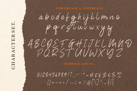 Brokllyng Brush Signature Font Creatype Studio 