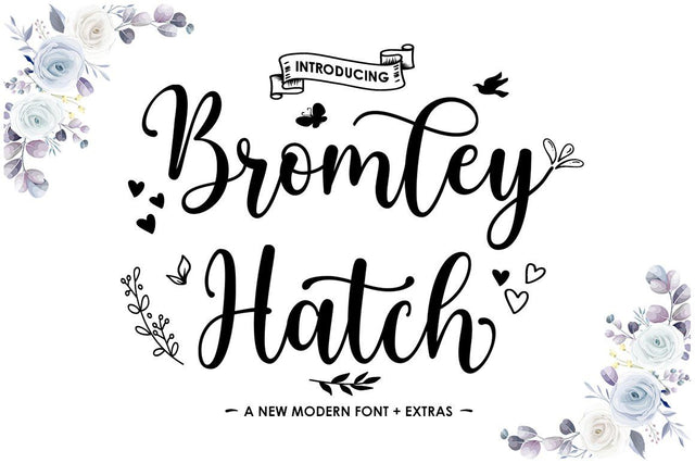 Bromley Hatch Script - With Extras Font Attract Studio 