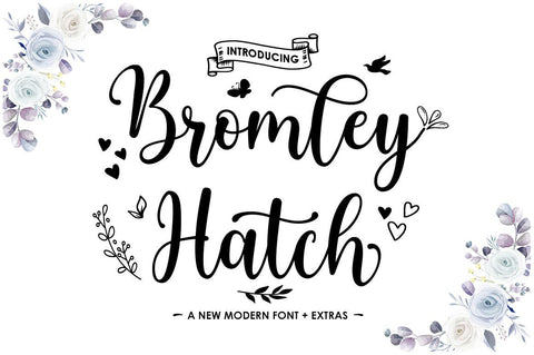 Bromley Hatch Script - With Extras Font Attract Studio 