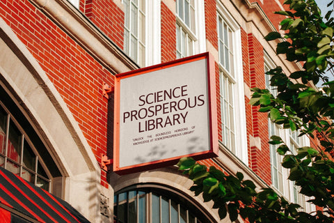 Bronten Typeface Font Storytype Studio 