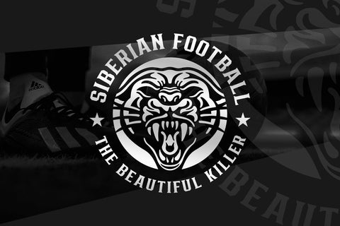 Bronzier Font Family Font Arterfak Project 