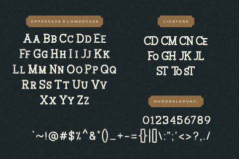 Broster Slab Typeface Font Creatype Studio 