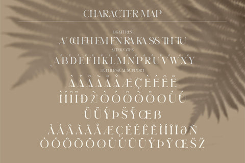 BROW VOLKY Typeface Font Storytype Studio 