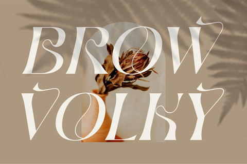 BROW VOLKY Typeface Font Storytype Studio 