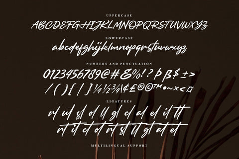 Browellay Synthya - Signature Font Arterfak Project 