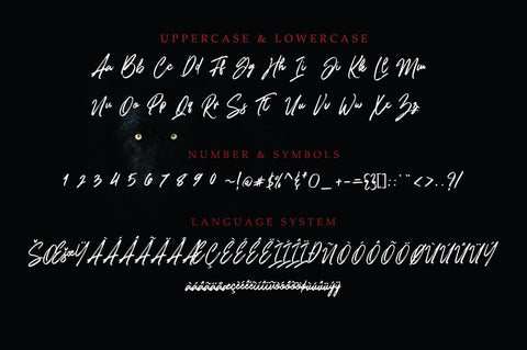 Brushfox Font gatype 