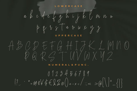 Bucherry Monoline Script Font Creatype Studio 