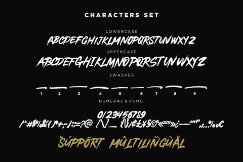 Buchery Font Hans Co 