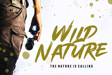 Buchery Font Hans Co 