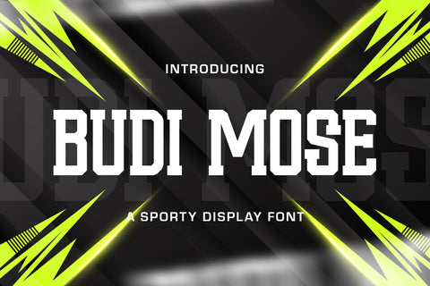 Budi Mose - Sporty Display Font Font StringLabs 