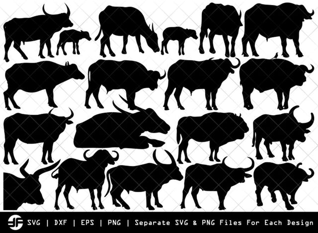 Buffalo SVG | Animal SVG | Silhouette Bundle | SVG Cut File SVG ETC Craft 