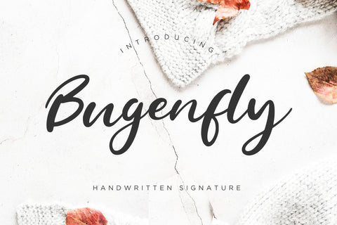 Bugenfly Handwritten Signature Font Creatype Studio 