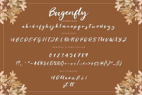 Bugenfly Handwritten Signature Font Creatype Studio 