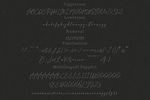 Bullaina Script Font Font Balevgraph Studio 