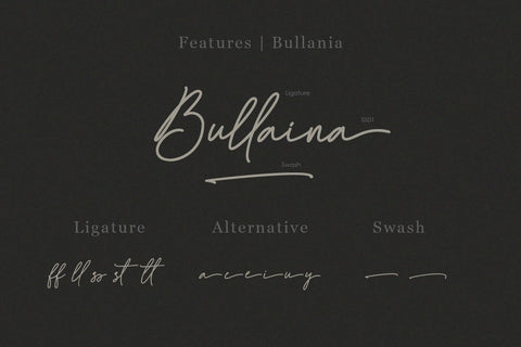 Bullaina Script Font Font Balevgraph Studio 