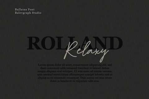Bullaina Script Font Font Balevgraph Studio 
