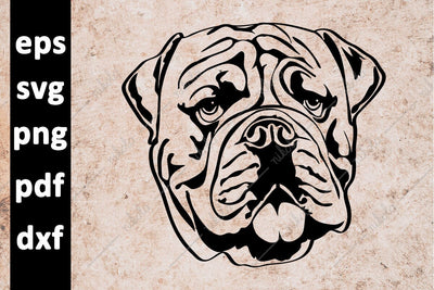 Bulldog Dog Cut File Clipart PNG SVG EPS DXF PDF SVG nikola 