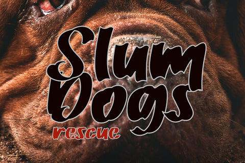 Bullmars Font letterstockstd 