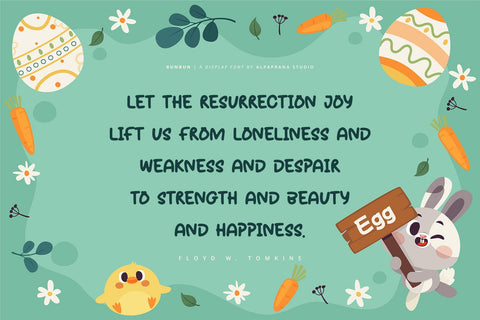 Bunbun - Display Font Font Alpaprana Studio 