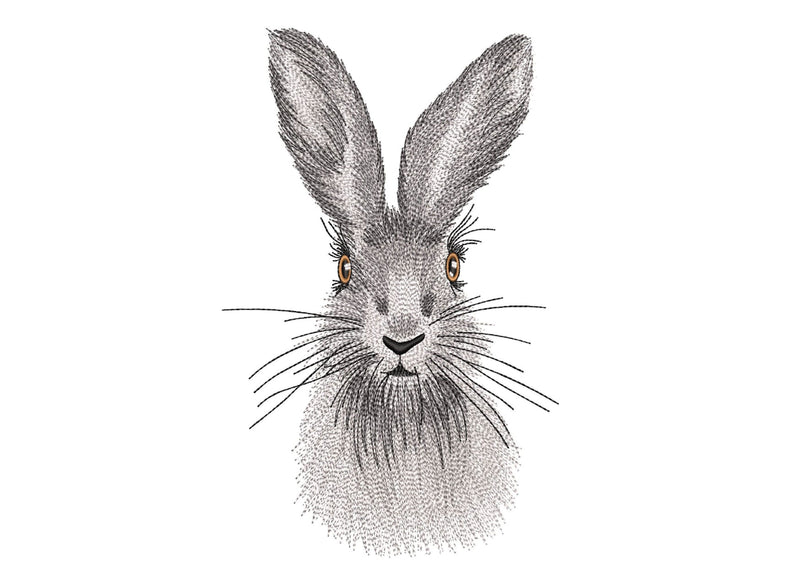 Bunny Embroidery Design, 3 sizes, Instant Download Embroidery/Applique DESIGNS Nino Nadaraia 