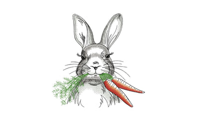 Bunny with a carrot Embroidery/Applique DESIGNS ArtEMByNatalia 