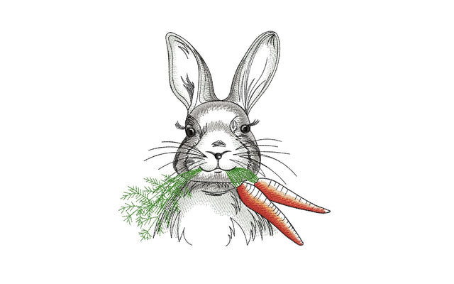 Bunny with a carrot Embroidery/Applique DESIGNS ArtEMByNatalia 