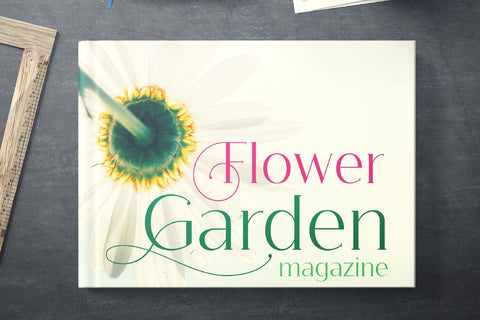 Buroq Serif Font zafrans studio 