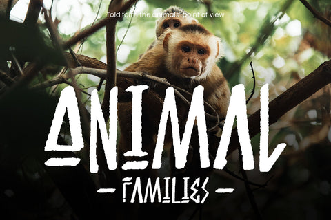 Burowai - Tribal Font Font Arterfak Project 