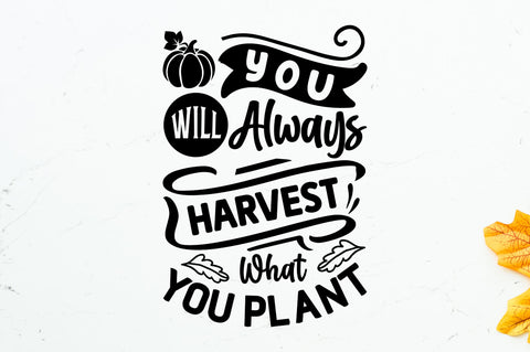 but i think i love fall svg SVG Regulrcrative 