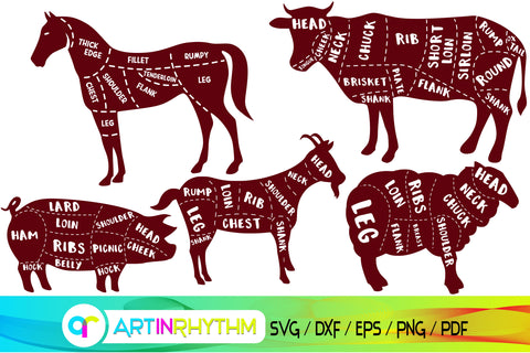 butcher svg bundle, farmers market, poultry shop, meat chart, butchers guide SVG Artinrhythm shop 