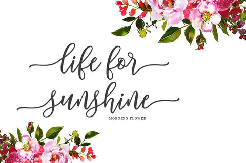 Buttella Script Font Zane Studio55 