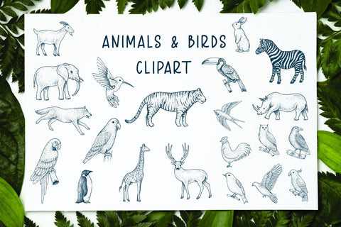 Butter Sugar Font Mozarella 