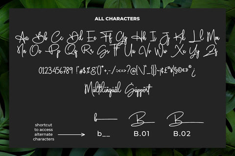 Buttercake Font Abo Daniel Studio 