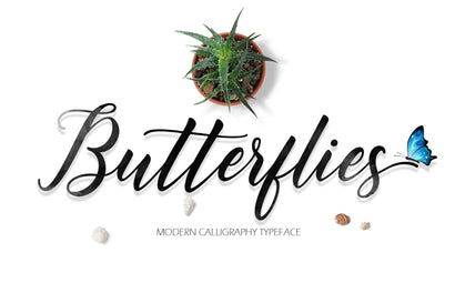Butterflies Script Font Fargun Studio 