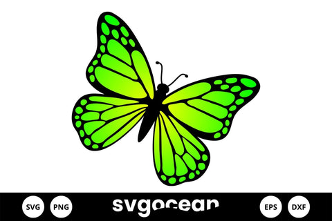 Butterflies Svg Bundle SVG SvgOcean 