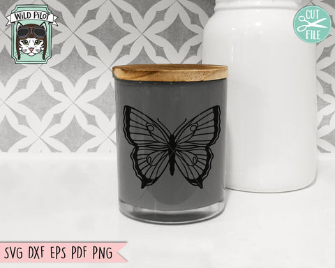 Butterflies SVG File, Butterfly Bundle SVG, Butterfly cut file, Butterflies Vector, Monarch Butterfly svg, Swallowtail Butterfly svg, Insect svg SVG Wild Pilot 