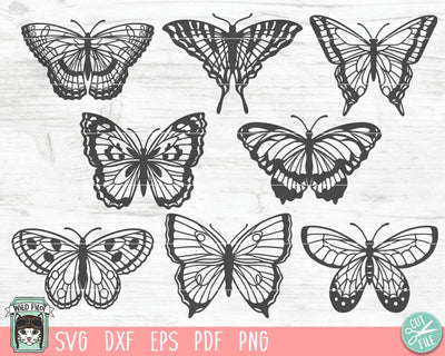 Butterflies SVG File, Butterfly Bundle SVG, Butterfly cut file, Butterflies Vector, Monarch Butterfly svg, Swallowtail Butterfly svg, Insect svg SVG Wild Pilot 