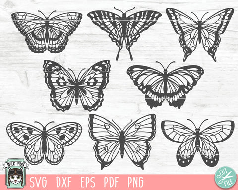 Butterflies SVG File, Butterfly Bundle SVG, Butterfly cut file, Butterflies Vector, Monarch Butterfly svg, Swallowtail Butterfly svg, Insect svg SVG Wild Pilot 